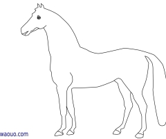 Coloriage cheval gratuit